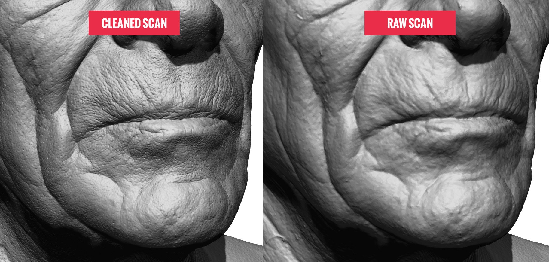 3d Scan Comparison Guide 3d Scan Comparison Guide
